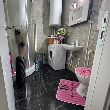 Analadyboss Leskovac