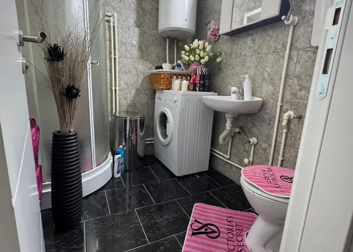 Analadyboss Leskovac