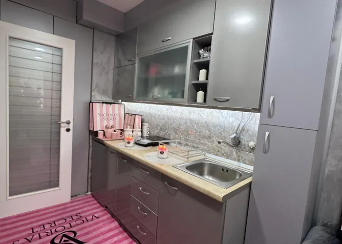 Analadyboss * Leskovac